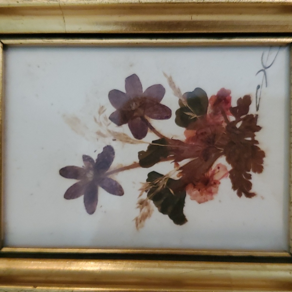 Vintage Floralp Tyrol Austria Pressed Flowers Miniature Framed Pictures Set of 2 - Picture 2 of 10